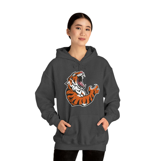 Ohio football (Bengals) Heavy Blend™ Hooded Sweatshirt