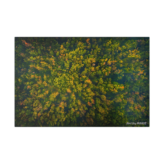 Aerial view of dense forest canvas