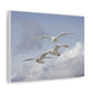 Art By Aped 2022 Canvas Wraps Seagull 1
