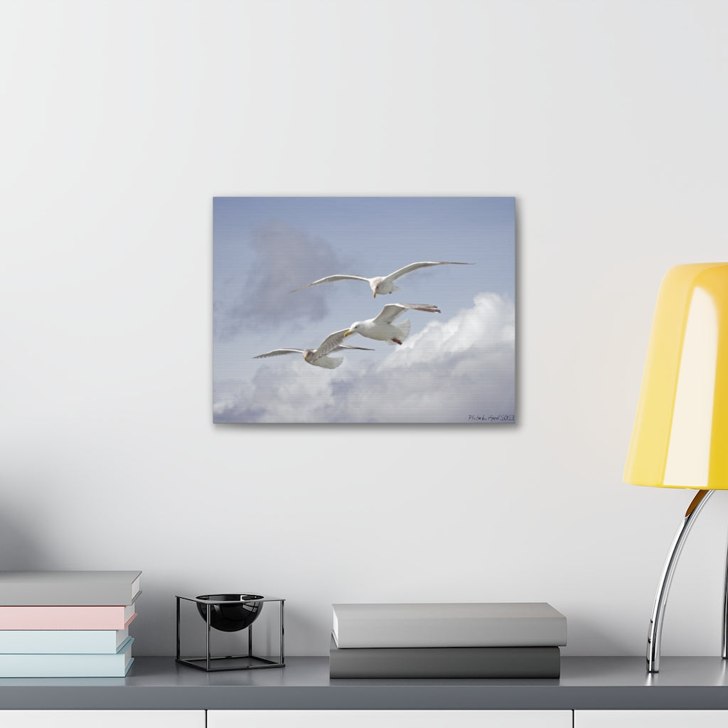 Art By Aped 2022 Canvas Wraps Seagull 1